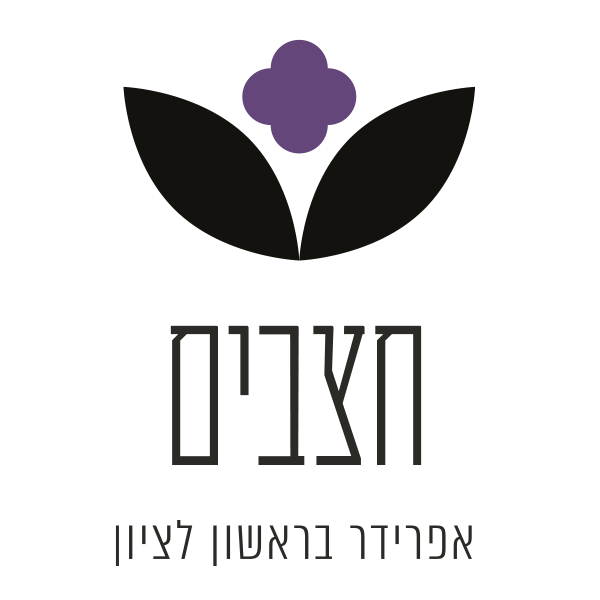 HAZVIM-LOGO